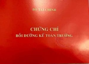 Khóa học kế toán trưởng online