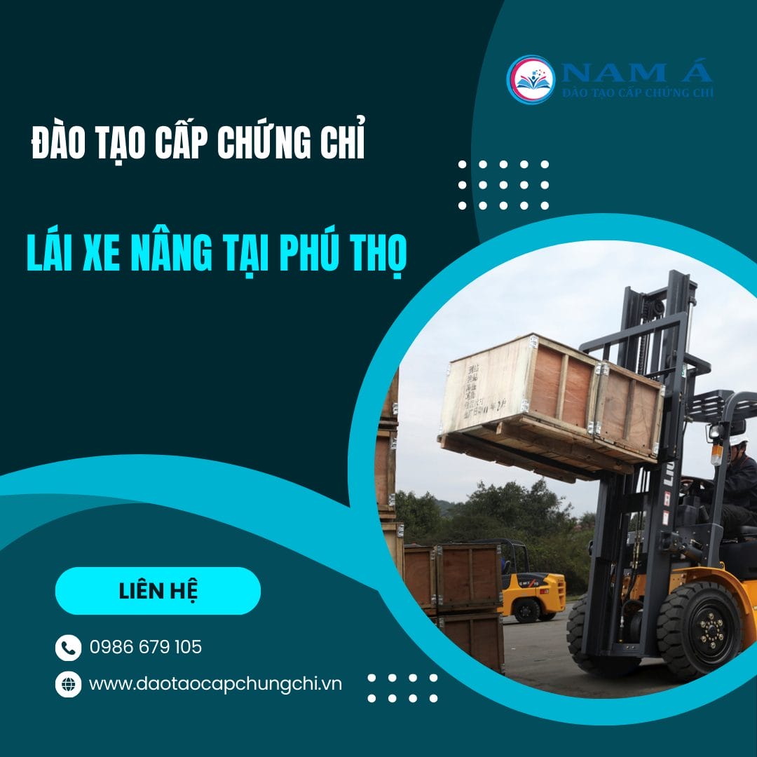 Thủ tục học chứng chỉ lái xe nâng tại Phú Thọ chuyên nghiệp