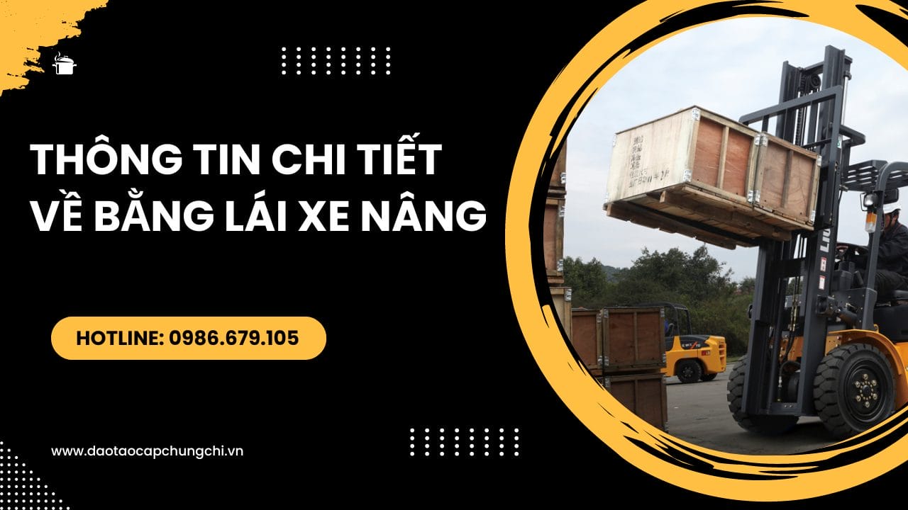 Bằng lái xe nâng là gì? Các thông tin chi tiết liên quan đến bằng lái xe nâng