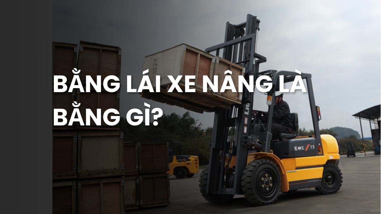 Bằng lái xe nâng là bằng gì? Quy định về bằng lái xe nâng?